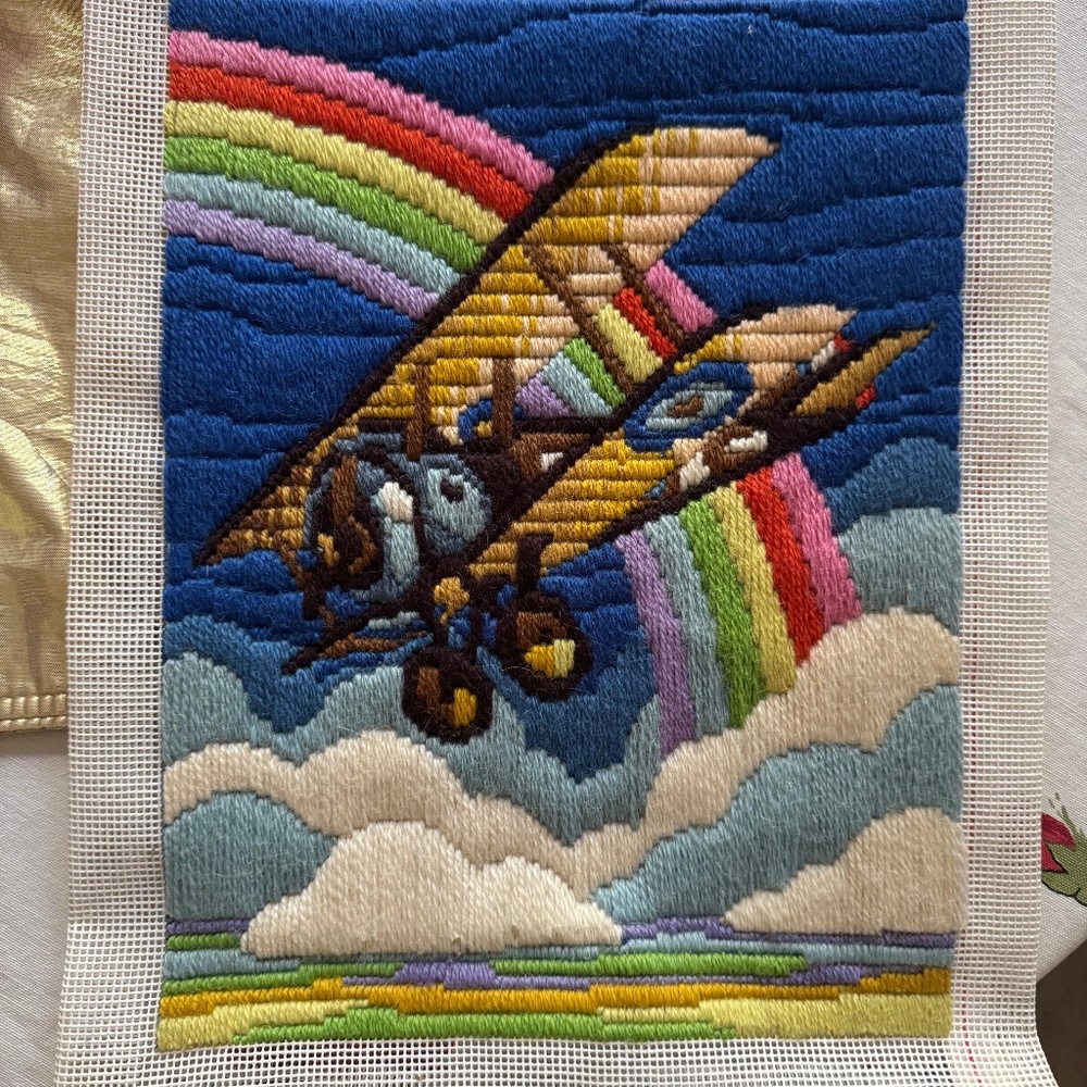 Unique embroidered plane ✈️